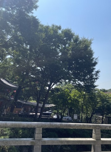 맑고 향기로운 가을 하늘같은 향기 엽서