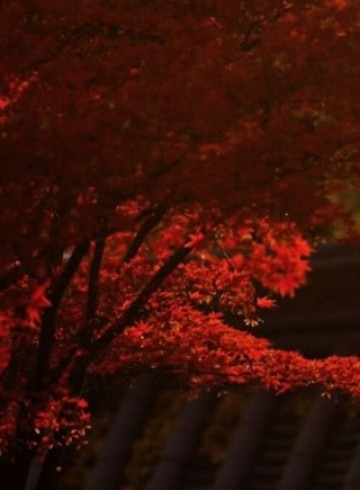 법정스님 책읽기 모임 11월 25일 후기