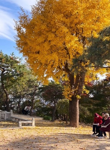 법정스님 책읽기 모임 11월 18일 후기