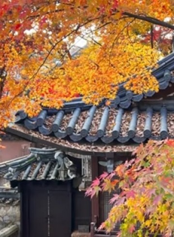 법정스님 책읽기 모임 11월 11일 후기