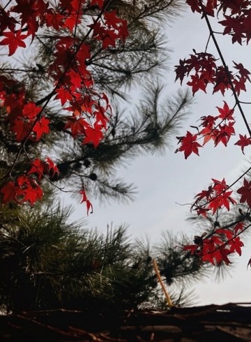 법정스님 책읽기 모임 11월 4일 후기