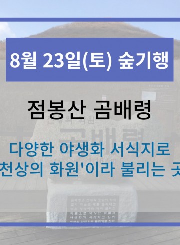 8월 23일 숲기행 - 점봉산 곰배령