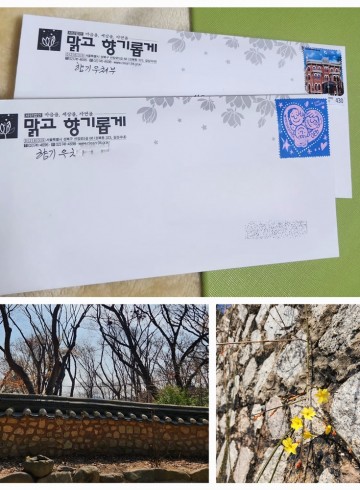 꽃망울과 함께 열린 향기엽서