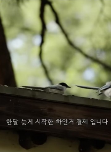 법정스님 책읽기 모임 6월 10일 후기