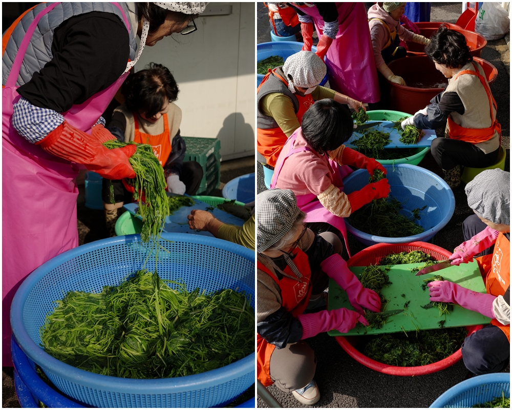 3755cb01fb9677f6e5100bf7e3021898_1761808863_6123.jpg 3755cb01fb9677f6e5100bf7e3021898_1761808863_6123.jpg