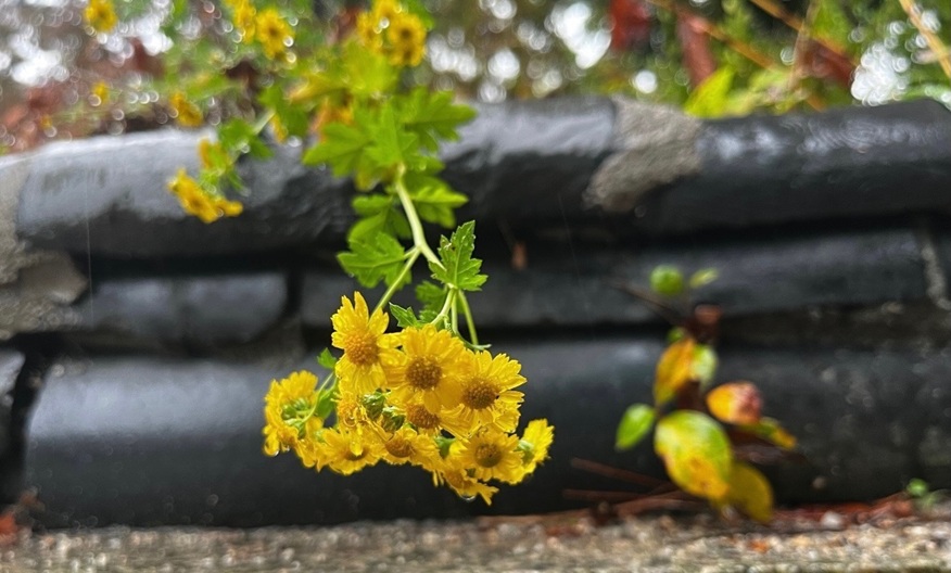 b8e890156aa3bf50119127cf0f742969_1761886721_471.jpg b8e890156aa3bf50119127cf0f742969_1761886721_471.jpg