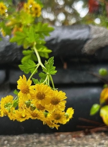 법정스님 책읽기 모임 10월 28일 후기