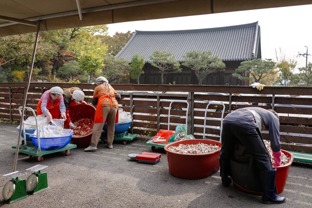 4fbdecb25f15f1f04541389ec6a106ab_1762413920_909.jpg 4fbdecb25f15f1f04541389ec6a106ab_1762413920_909.jpg