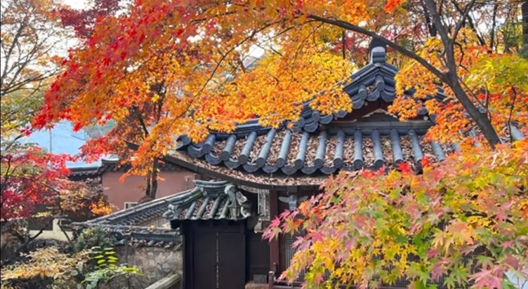 e9fd4531a4e926dc298510285b3dfccf_1763338897_9215.jpg e9fd4531a4e926dc298510285b3dfccf_1763338897_9215.jpg