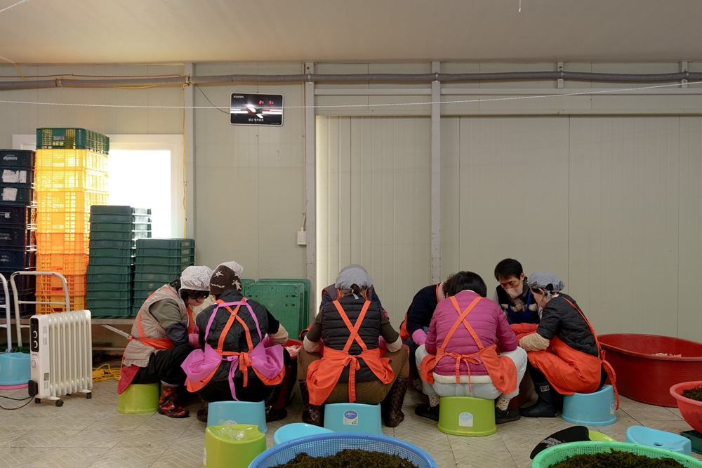 7d530fd8bd10482d4c2ff09c09774379_1764835786_8494.jpg 7d530fd8bd10482d4c2ff09c09774379_1764835786_8494.jpg