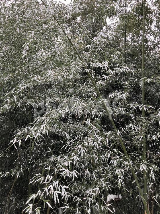 a72efb88b3a6a9a56205a32f6ee41507_1765435065_885.jpeg a72efb88b3a6a9a56205a32f6ee41507_1765435065_885.jpeg