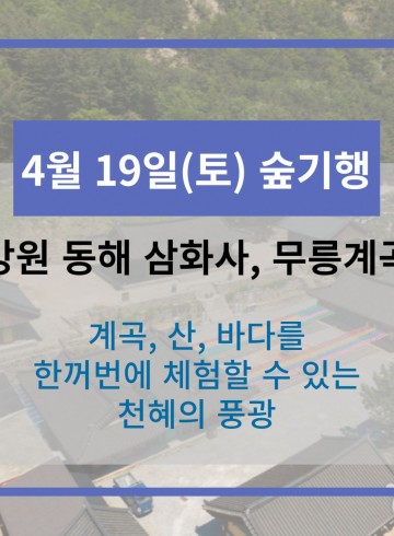 4월 19일 숲기행 - 동해 삼화사, 무릉계곡